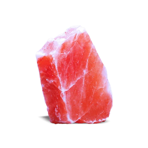 Himalayan Salt Foot Detox